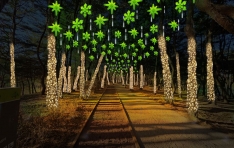 ��û �ŵ����� ��ǥ ���� ������ õ�⽣�� �ܿ�� ������